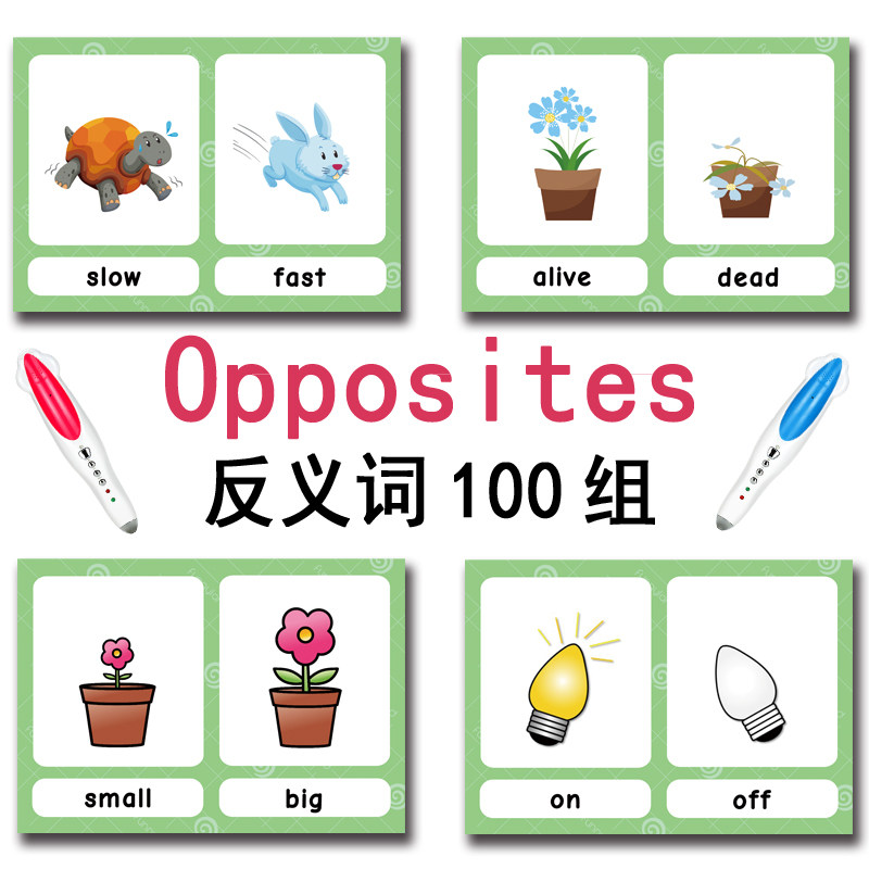 Tarjetas de memoria con 100 gr - Kids Education Gift reseña y precio