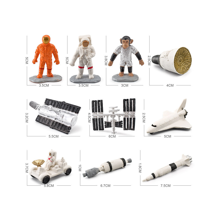 Órganos Humanos Realistas del  - Kids Education System reseña y precio