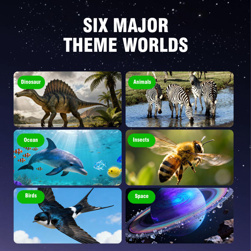 Visor de Películas Estereoscóp - Kids Education Reels reseña y precio